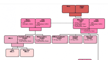 family-tree family-tree