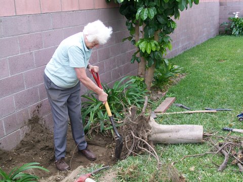 Shovelling Sally