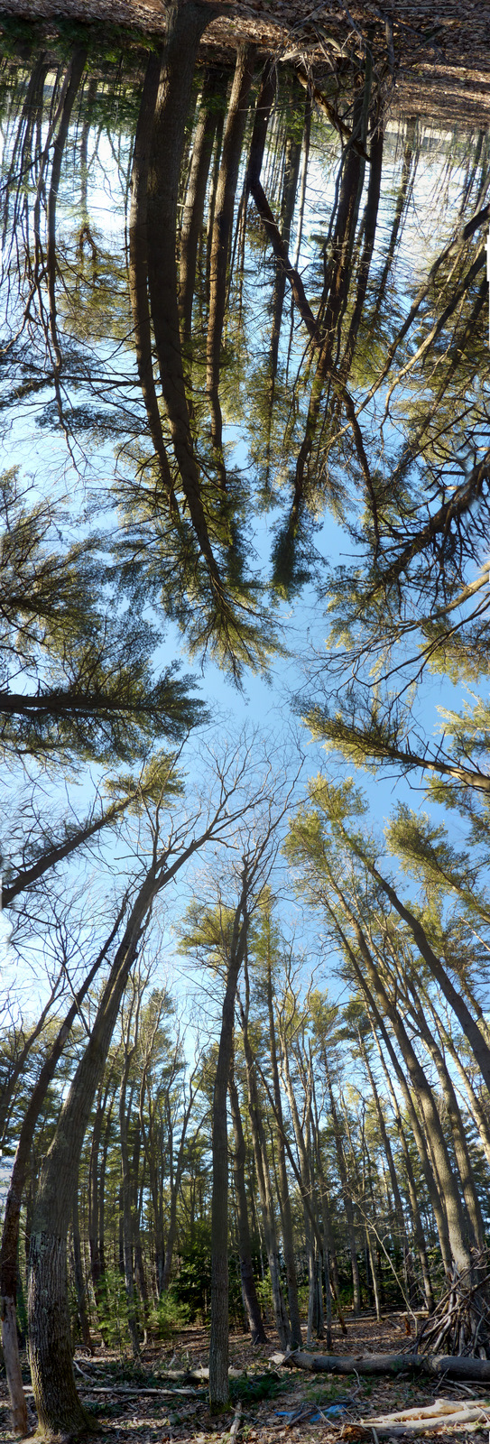 falling slowly-1