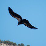 Zion  (77 of 143)