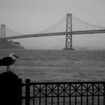 Bay Bridge