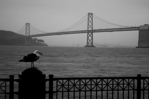 Bay Bridge