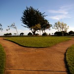 Alameda Fork