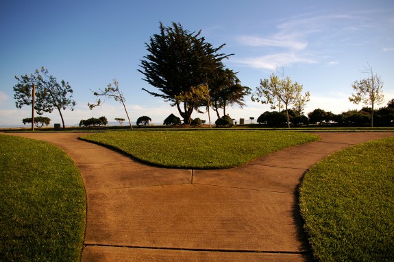Alameda Fork