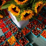 Portland farmer’s market