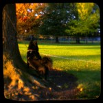 Atticus in the park Atticus in the park
