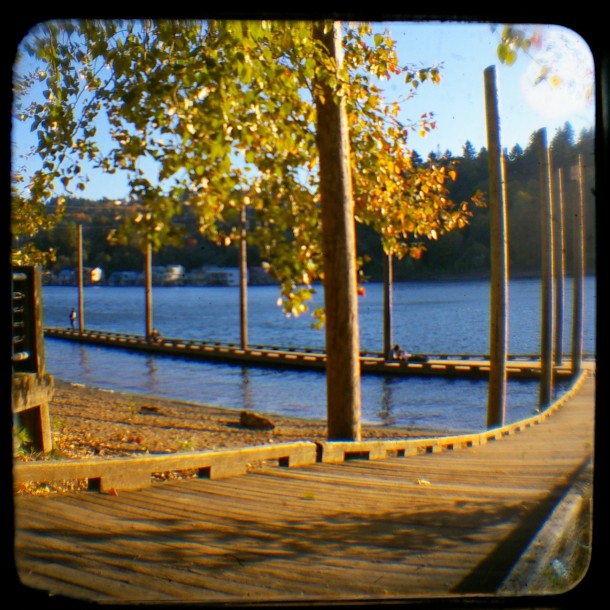Sellwood Riverfront Park