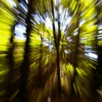Hyperspace in Tryon Creek