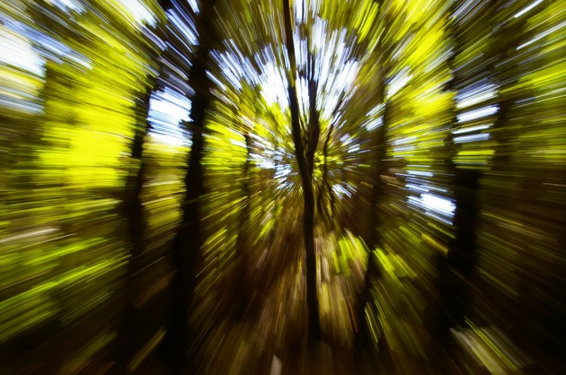 Hyperspace in Tryon Creek