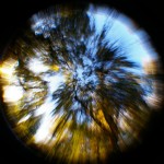 Fill my little world right up (fisheye)