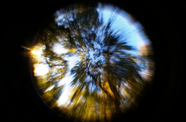 Fill my little world right up (fisheye)