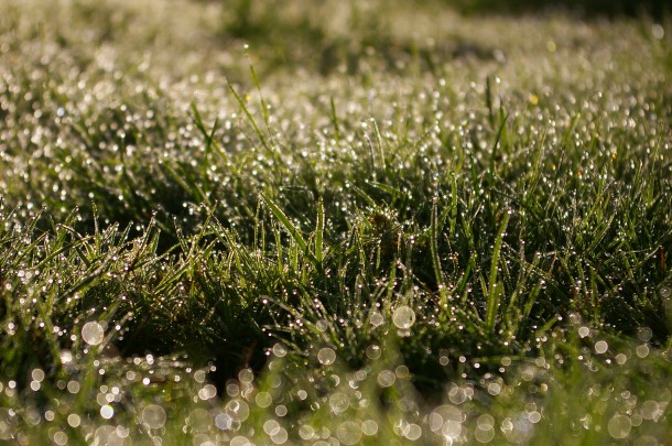 I love the smell of Bokeh in the morning