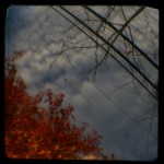 Autumn turns to winter