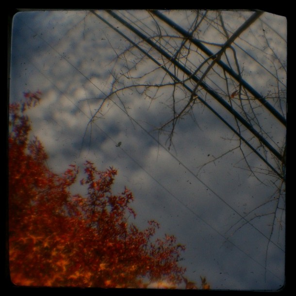 Autumn turns to winter