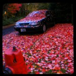 TtV, autumnal, chameleon car