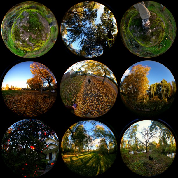 Sellwood through the fisheye