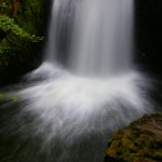 Splash