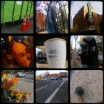 Portland City Centre