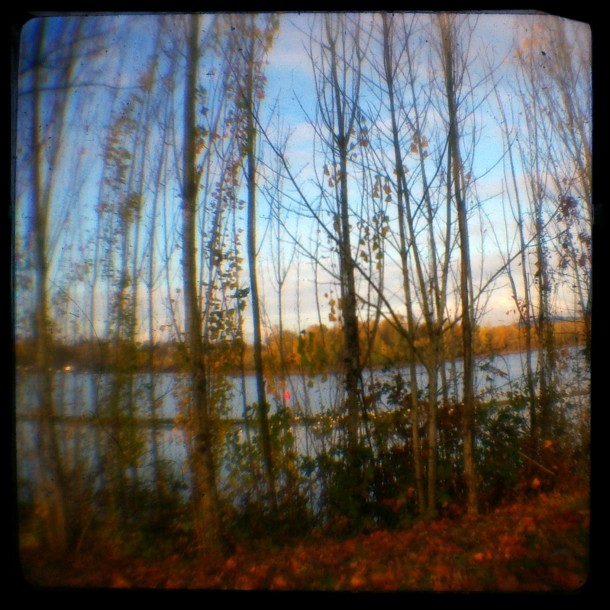 Looking across the Willamette