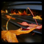 Cusp of Winter