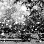 Snow Flash Snow Flash