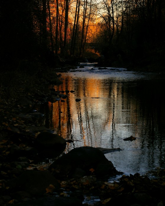 Johnson Creek, SE Portland