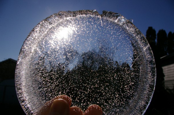 Dog’s water bowl lens