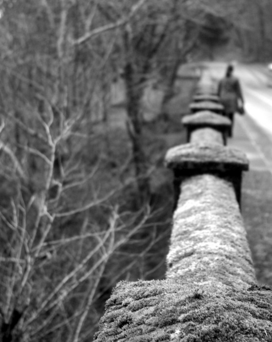Bridge across the Bokeh