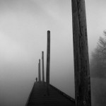 Sellwood Morning Sellwood Morning