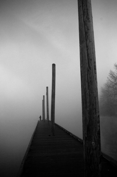 Sellwood Morning