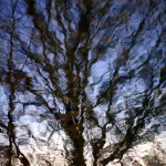 On Reflection On Reflection