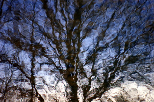 On Reflection