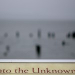 Into the Unknown