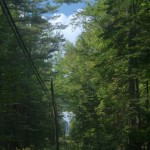 Power Line Trail
