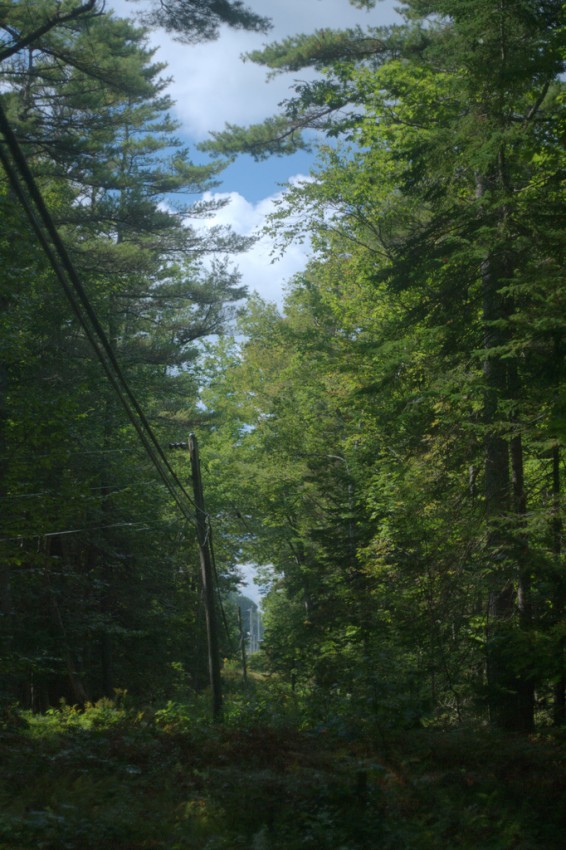 Power Line Trail