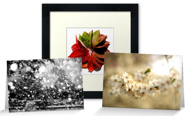 seasons