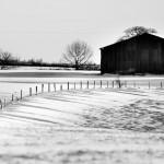 Black and White Barn Black and White Barn