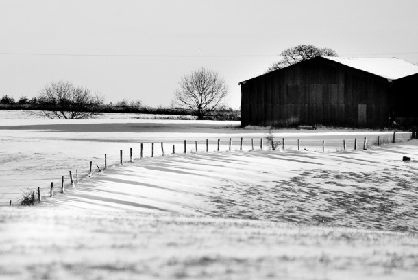 Black and White Barn
