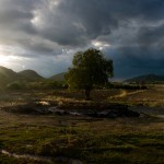 Matatlán, Oaxaca Sunset