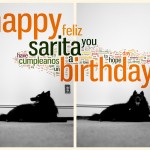 Feliz CumpleaNos